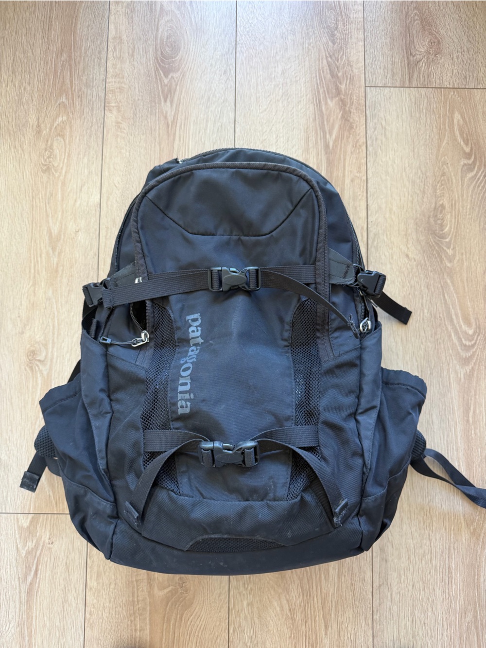 Patagonia Backpack